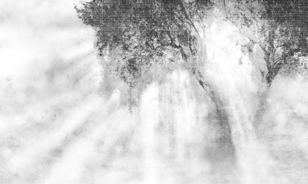 Dekorami Ray Of Light 4 - mural drzewo