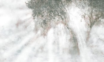 5f79a397960071f32940498d51edae68