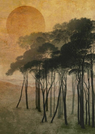 Dekorami Tequila Sunrise - mural las