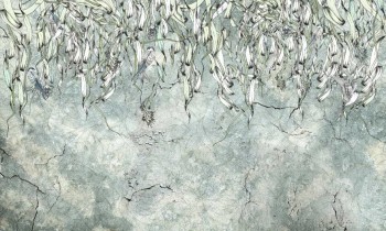 Florens-0742-08.jpg
