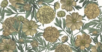 35af39a722c55a124cc48843bb1d1f0c