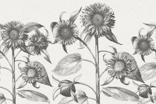 Rebel Walls R18699 Cottage Cool Sunflower Beige - mural z motywem słoneczników