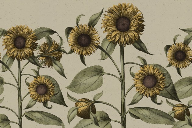 Rebel Walls R18698 Cottage Cool Sunflower Yellow - mural z motywem słoneczników