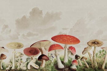 21ce055b37267fe17035f1ae90d67d6e