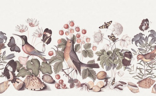 Rebel Walls R18661 Cottage Cool Vintage Flora And Fauna Dust - mural z motywem ptaków, owadów i owoców