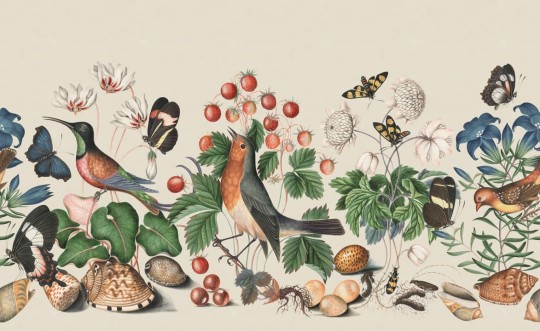 Rebel Walls R18660 Cottage Cool Vintage Flora And Fauna Color - mural z motywem ptaków, owadów i owoców