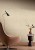0f31de5a2aabb1b6125ee75e2fd2dd83