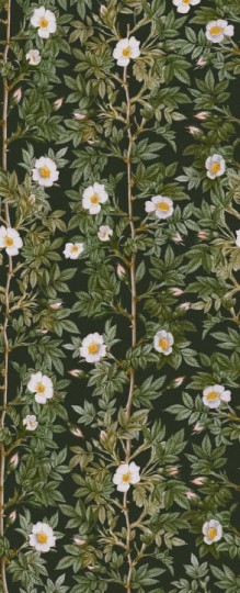 Rebel Walls R18703 Cottage Core Rose Hip Midnight - mural w kwiaty