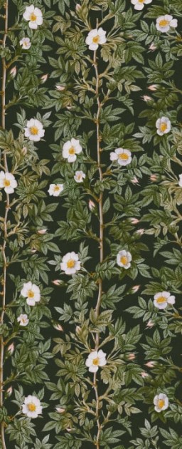 Rebel Walls R18703 Cottage Core Rose Hip Midnight - mural w kwiaty