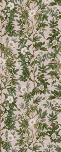 Rebel Walls R18705 Cottage Core Rose Hip Pink - mural w kwiaty
