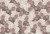 522b446db8863fd99c6081ea0f6a0e38