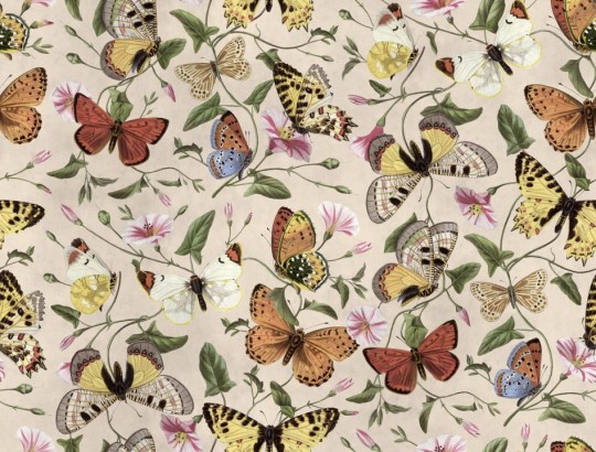 Rebel Walls R18673 Cottage Core Butterflies Color - mural motyle