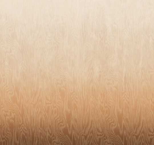 Khroma DG4MOI1043 Wall Designs IV Moiré Sahara 260 cm - mural z motywem drewnianej powierzchni