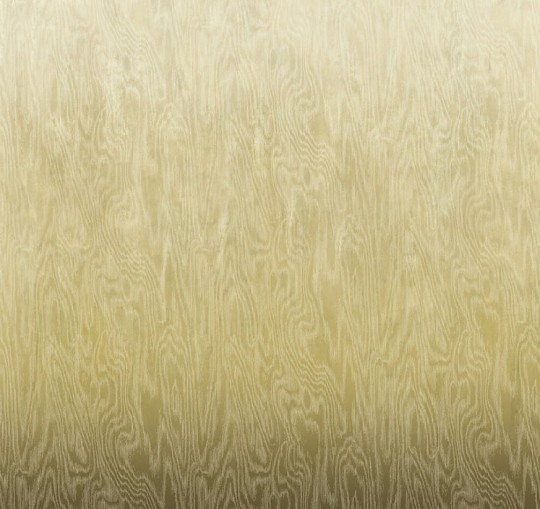 Khroma DG4MOI1011 Wall Designs IV Moiré 300 cm - mural z motywem drewnianej powierzchni