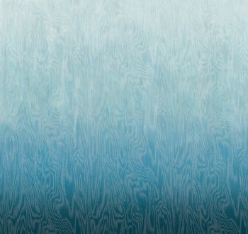 937faf0225ac77f2a75ab3f8899268b5