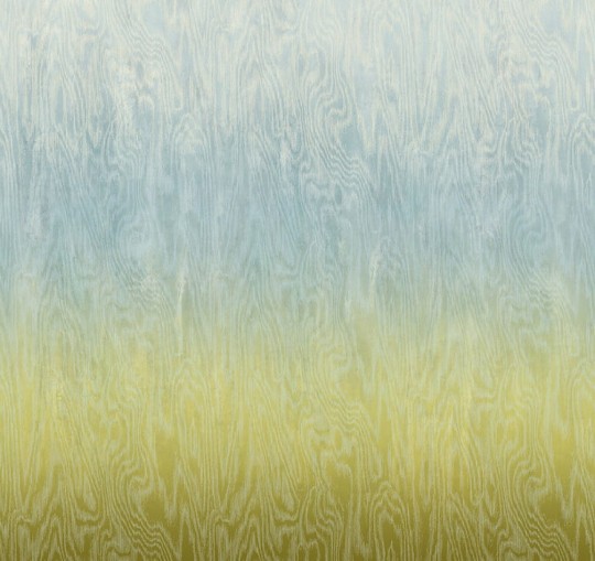 Khroma DG4MOI1071 Wall Designs IV Moiré Sea 300 cm - mural z motywem drewnianej powierzchni