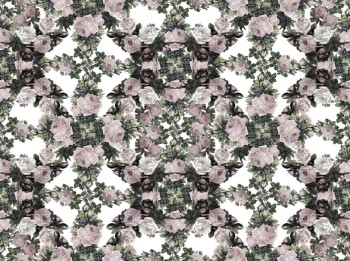 9393d702453d98e1447d96d60e7cc237