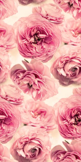 Rebel Walls R13091 Bouquet Summer Wind - mural róże