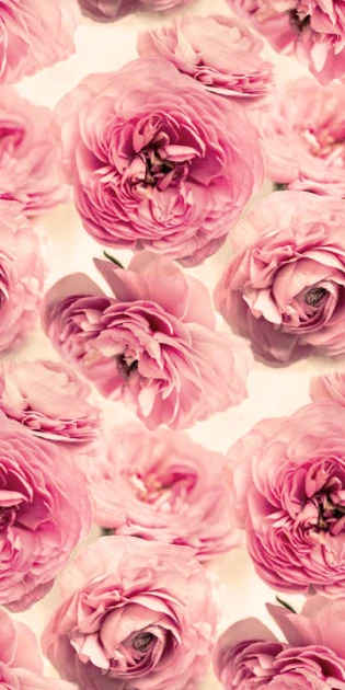 Rebel Walls R13091 Bouquet Summer Wind - mural róże