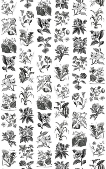 Rebel Walls R13171 Greenhouse Fruit Flora - mural w kwiaty