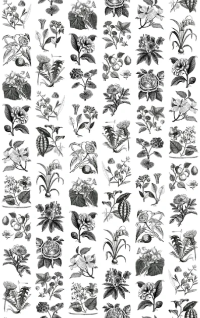 Rebel Walls R13171 Greenhouse Fruit Flora - mural w kwiaty