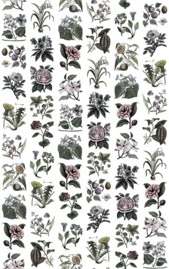 Rebel Walls R13172 Greenhouse Fruit Flora Color - mural w kwiaty