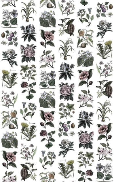 Rebel Walls R13172 Greenhouse Fruit Flora Color - mural w kwiaty