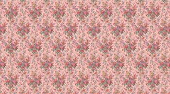 50d7a7a20e220a6501464ed300e524a2