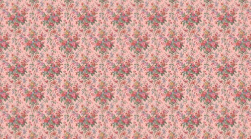 50d7a7a20e220a6501464ed300e524a2