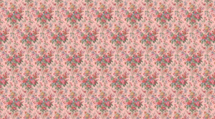 50d7a7a20e220a6501464ed300e524a2