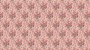 50d7a7a20e220a6501464ed300e524a2