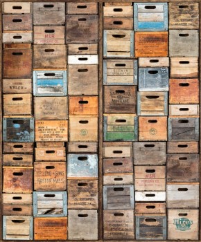 9e556a6c243e18d673031c0a48b2a931