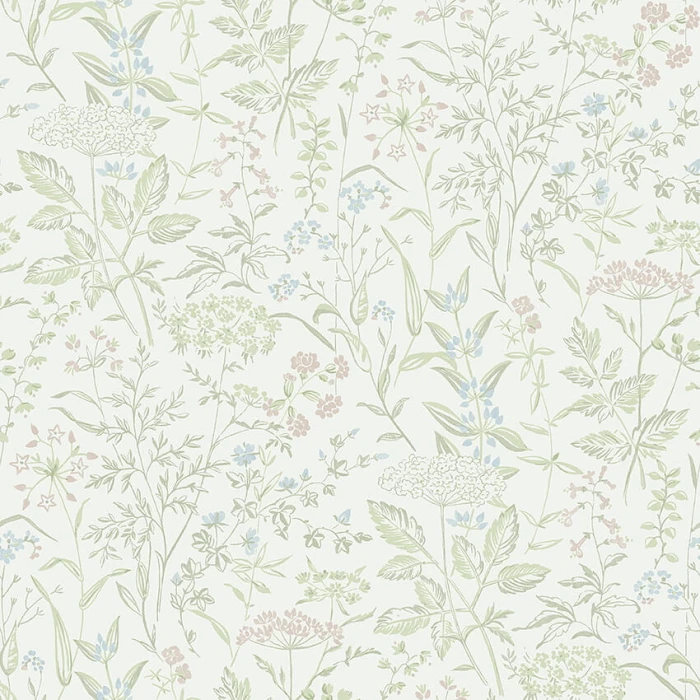53079d0aa393e570f67722940655a3b5