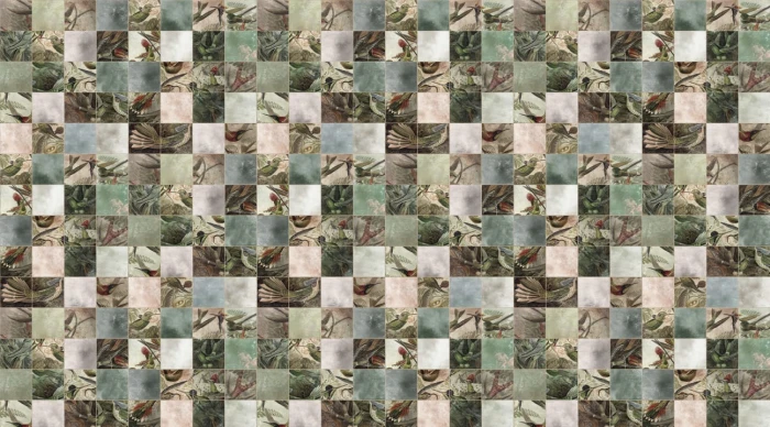 81a661a0f527952998303bf65afa19d5