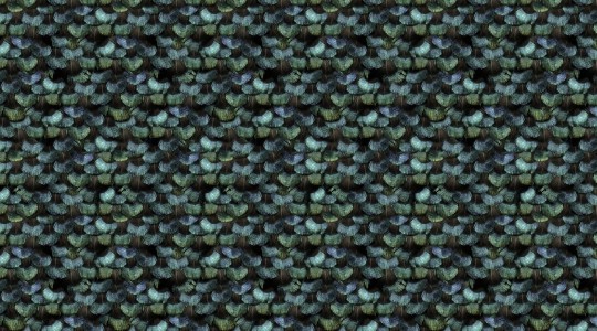 Rebel Walls R15091 Home Peacock Plumage - mural w pawie pióra