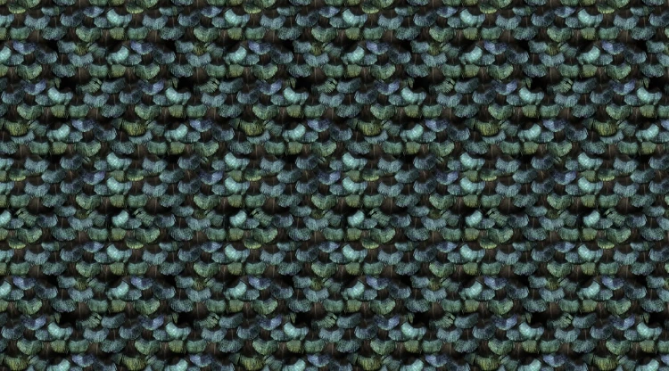 a3c30b046dcc8f43cf6885582782bfc0