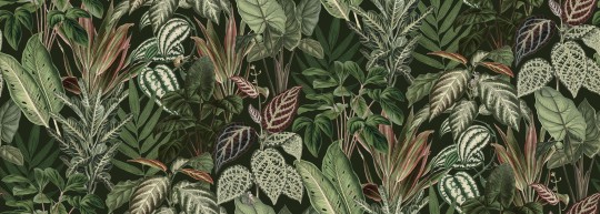 Rebel Walls R14592 Palette Mischievous Monkeys Lush - mural egzotyczny