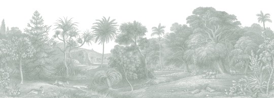 Rebel Walls R14613 Palette Jungle Land Verdant - mural dżungla