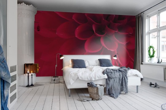 Rebel Walls R10601 Panorama Dahlia - mural kwiat