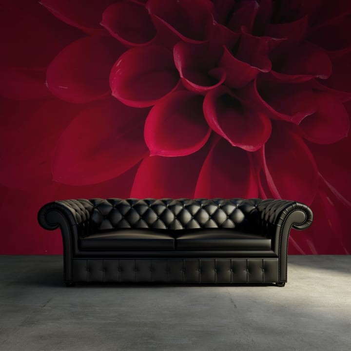 Rebel Walls R10601 Panorama Dahlia - mural kwiat