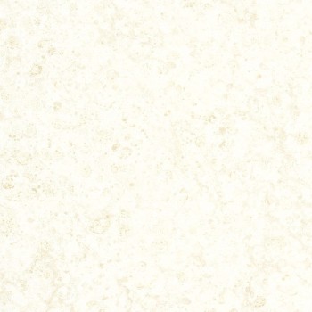 2fd3286aa1f6a64e3e6db8d557d4041c