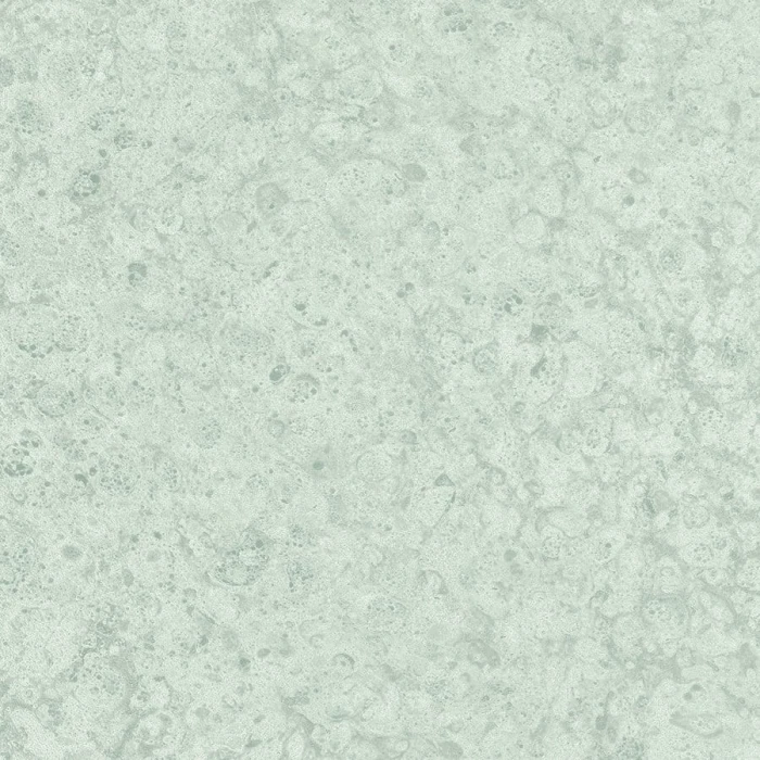 c6e196237218f5e25dce990e50191f1e