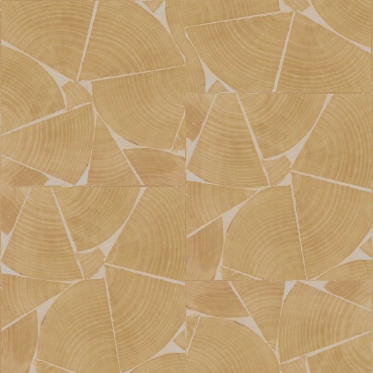 Elitis RM 1037 15 Marqueteries Fragments – tapeta z forniru w organiczne słoje