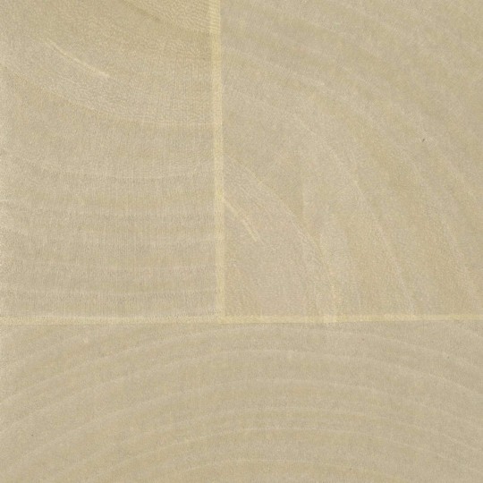 Elitis RM 1040 01 Marqueteries Empreintes – tapeta fornirowana w moduły