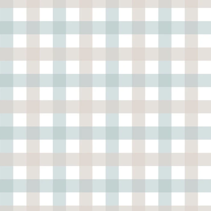 50bfc0135e4e7cf3e91bcac0dfc55308