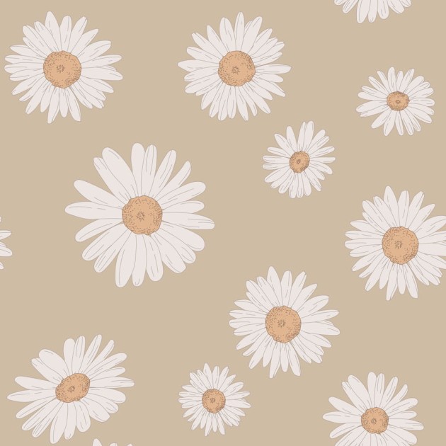 Dekornik DEKO.TAP.385 Tuscan Daisies Cappucino - tapeta w stokrotki