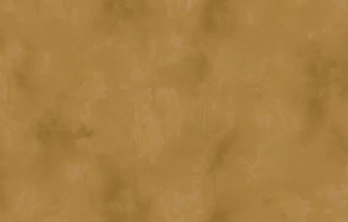 c1631c6d33fafbd1fe6be406bf618426