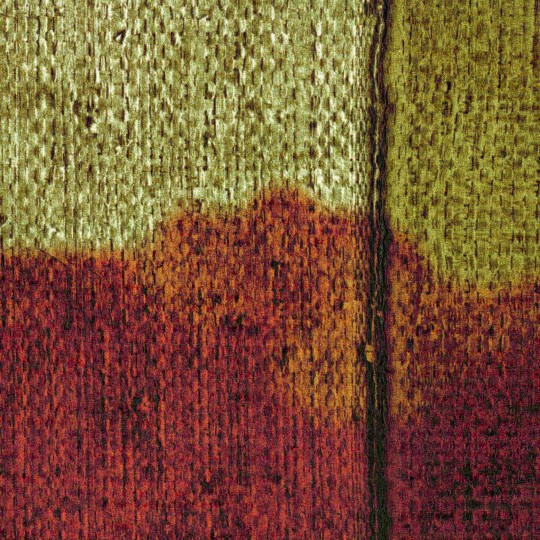 Elitis VP 926 02 Volver Cordoba - mural w pasy z efektem splotu roślinnego