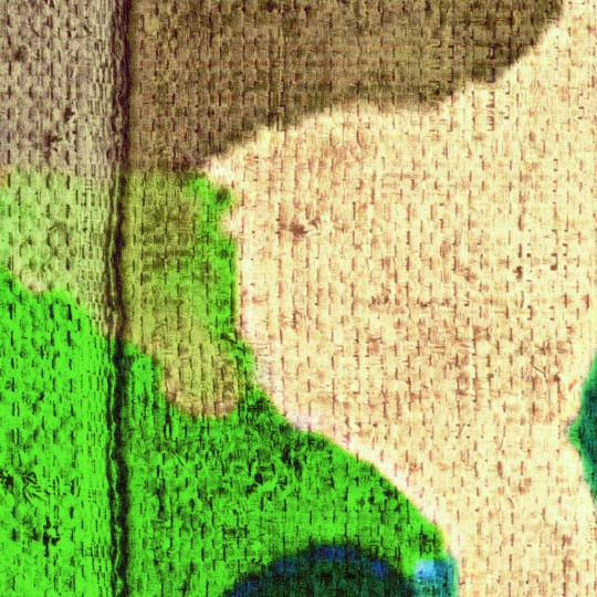 Elitis VP 927 01 Volver Begur - mural w panele w egzotyczne ptaki i rośliny