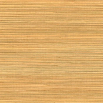a674849e41b10ecfd0c793a93437737e